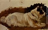 Sir Edwin Henry Landseer Study Of A Chow painting